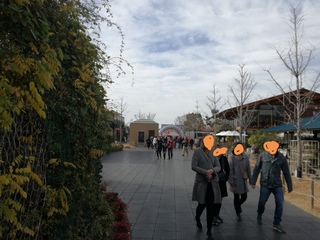 IMG_20200126_181703.jpg